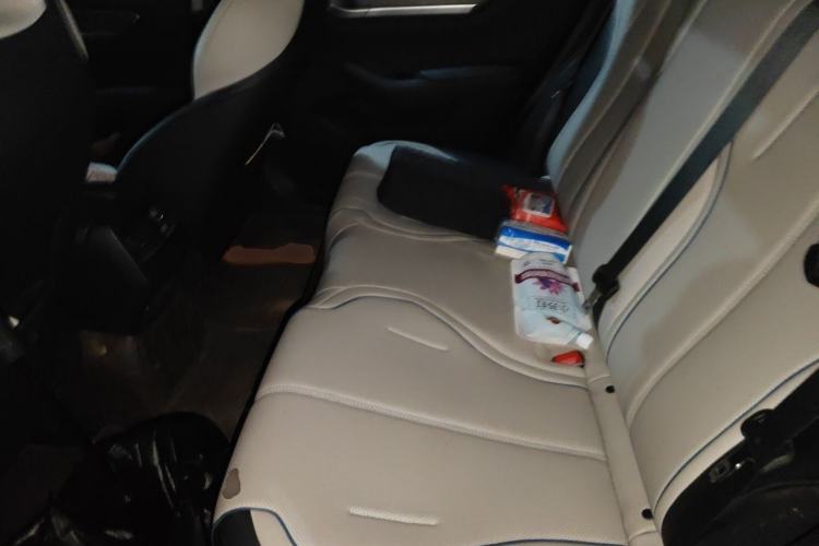 Used BYD Destroyer 05 2024 HONOR Edition DM-i 55KM Luxury Model Left Rear Seat