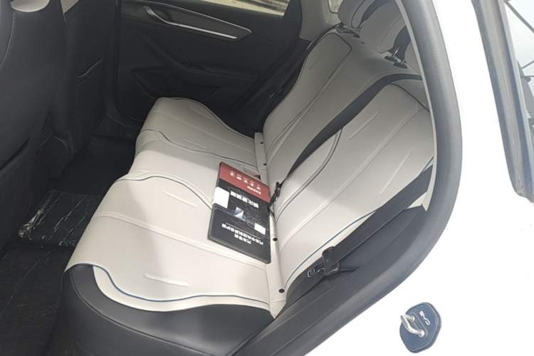 Used BYD Destroyer 05 2024 HONOR Edition DM-i 55KM Luxury Model Left Rear Seat