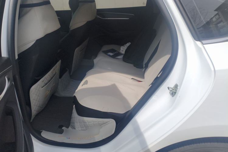 Used BYD Destroyer 05 2024 Honor Edition DM-i 120KM Luxury Model Left Rear Seat