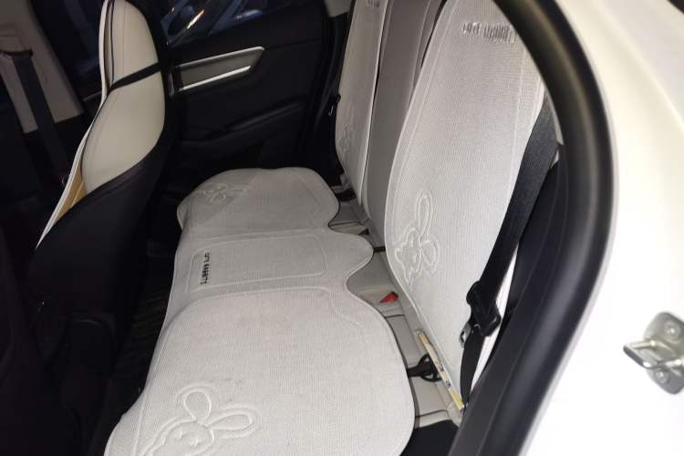 Used BYD Destroyer 05 2024 HONOR Edition DM-i 55KM Luxury Model Left Rear Seat