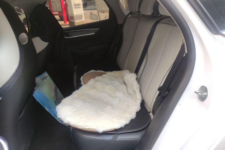 Used BYD Destroyer 05 2024 HONOR Edition DM-i 55KM Luxury Model Left Rear Seat