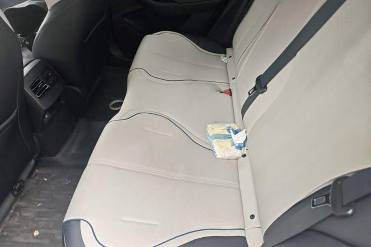 Used BYD Destroyer 05 2024 Honor Edition DM-i 120KM Luxury Model Left Rear Seat