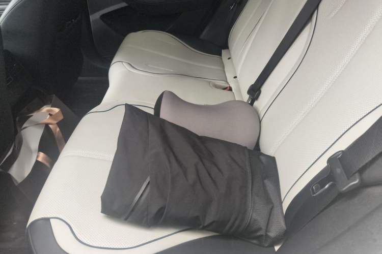 Used BYD Destroyer 05 2024 HONOR Edition DM-i 55KM Luxury Model Left Rear Seat