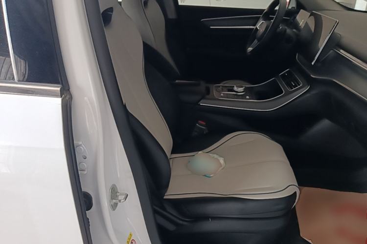 Used BYD Destroyer 05 2024 HONOR Edition DM-i 55KM Luxury Model Right Front Seat