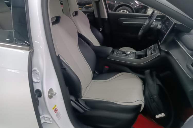 Used BYD Destroyer 05 2024 HONOR Edition DM-i 55KM Luxury Model Right Front Seat