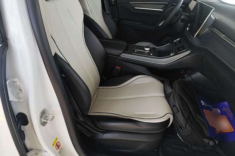 Used BYD Destroyer 05 2024 HONOR Edition DM-i 55KM Luxury Model Right Front Seat