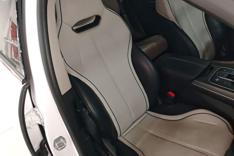 Used BYD Destroyer 05 2024 Honor Edition DM-i 120KM Luxury Model Right Front Seat