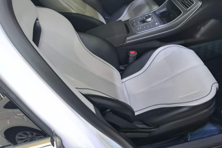 Used BYD Destroyer 05 2024 HONOR Edition DM-i 55KM Luxury Model Right Front Seat