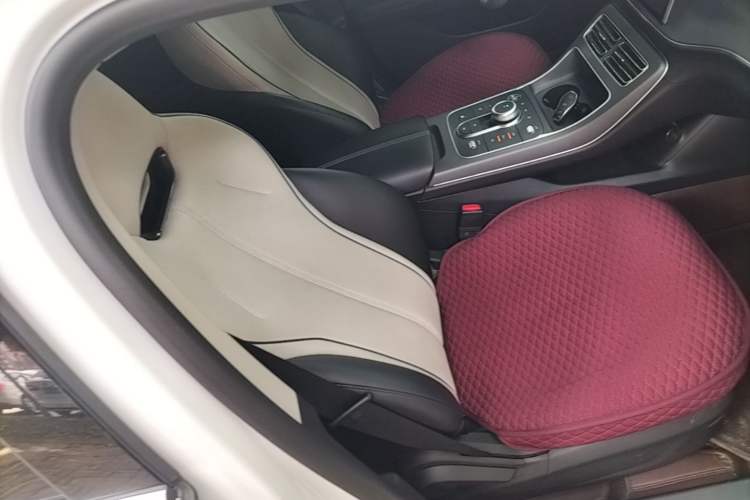 Used BYD Destroyer 05 2024 HONOR Edition DM-i 55KM Luxury Model Right Front Seat