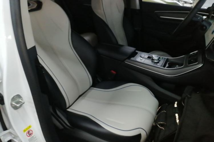 Used BYD Destroyer 05 2024 HONOR Edition DM-i 55KM Luxury Model Right Front Seat