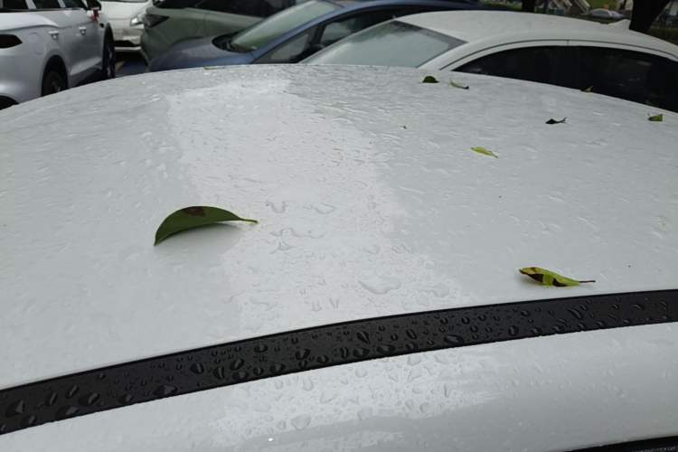 Used BYD Destroyer 05 2024 Honor Edition DM-i 120KM Luxury Model Roof