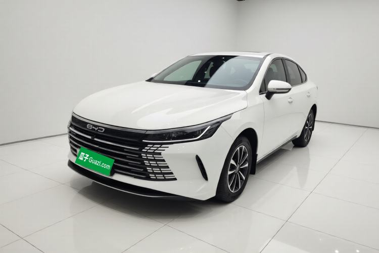 BYD Destroyer 05 2024 DM-i 55KM Flagship Glory Edition