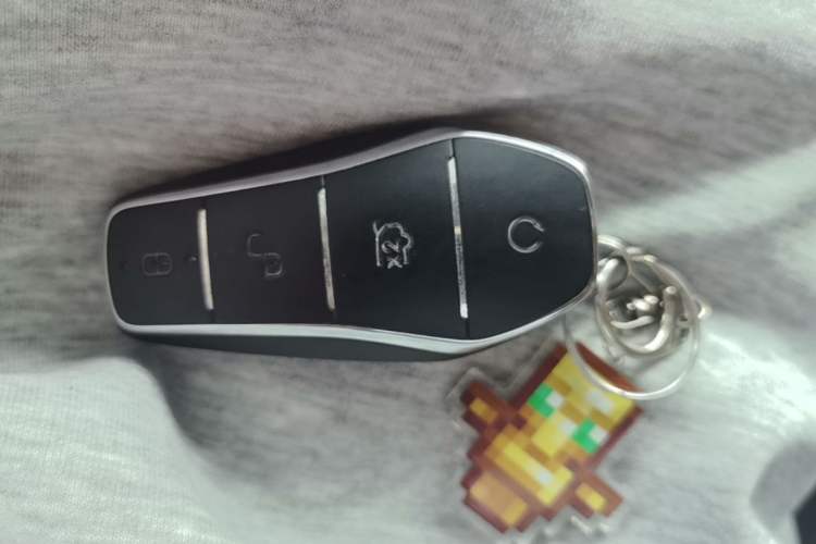 Used BYD Destroyer 05 2024 Honor Edition DM-i 120KM Luxury Model Vehicle Key