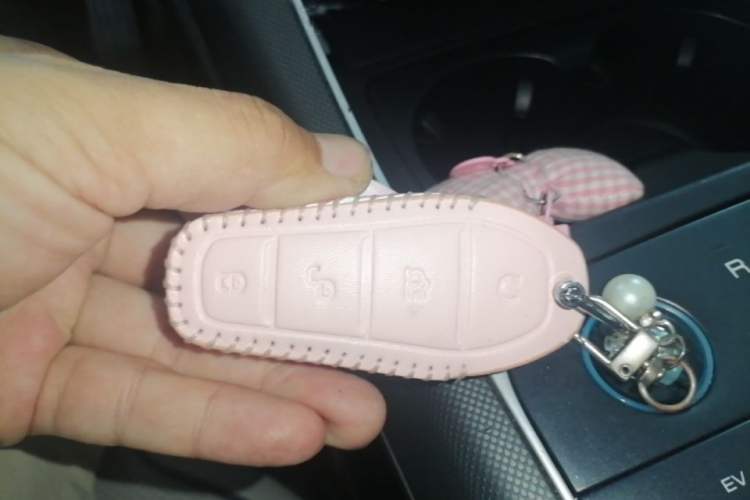 Used BYD Destroyer 05 2024 HONOR Edition DM-i 55KM Luxury Model Vehicle Key