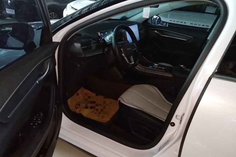 Used BYD Destroyer 05 2025 DM-i 55KM Standard Range Model Driver Seat