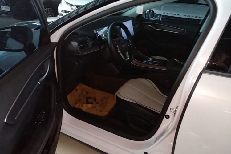 Used BYD Destroyer 05 2025 DM-i 55KM Standard Range Model Left Front Seat