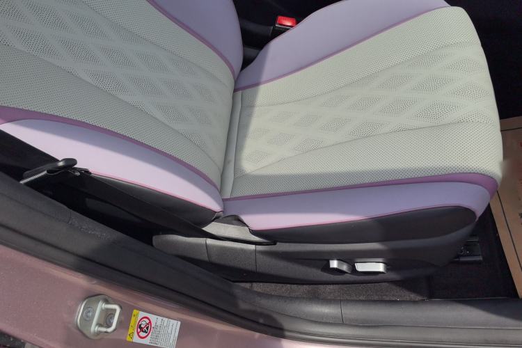 Used BYD Dolphin 2023 420 km Fashion Edition Right Front Seat