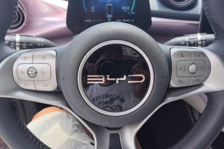 Used BYD Dolphin 2023 420 km Fashion Edition Steering Wheel