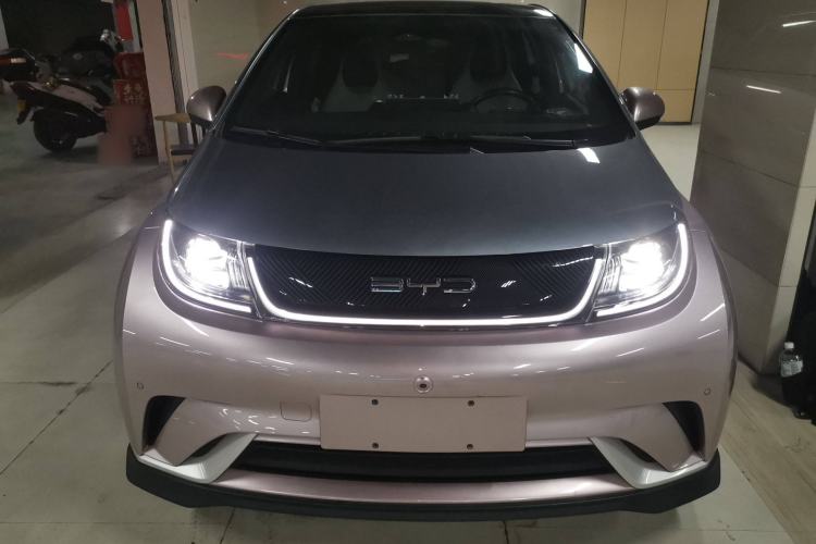 Used BYD Dolphin 2021 401km Knight Edition Exterior 1