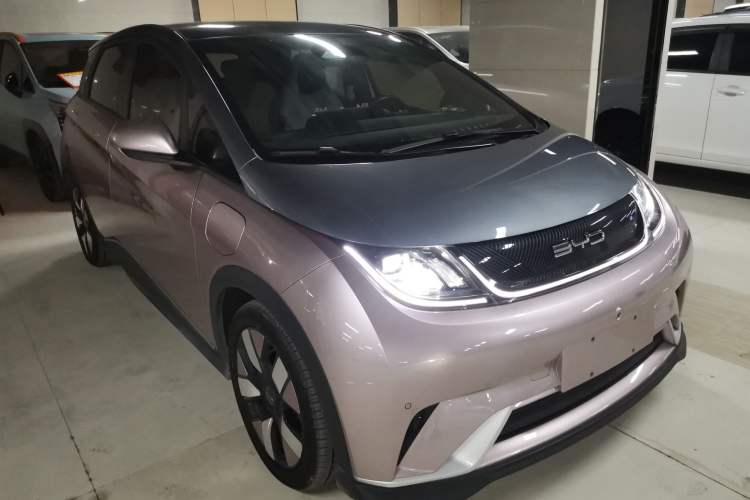 Used BYD Dolphin 2021 401km Knight Edition Exterior 2