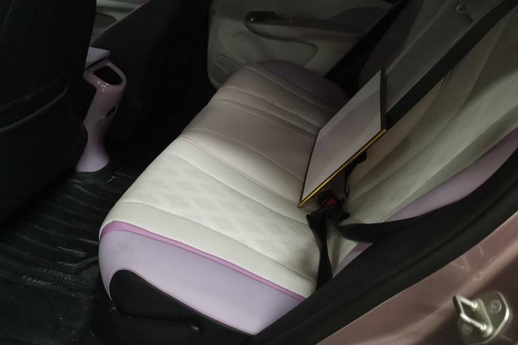 Used BYD Dolphin 2021 401km Knight Edition Interior 4