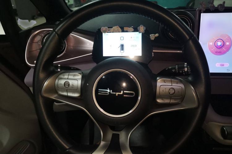 Used BYD Dolphin 2021 401km Knight Edition Steering Wheel