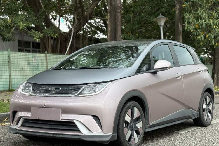 BYD Dolphin 2021 401km Knight Edition de segunda mano Guazi used car, China used car export, Used car for sale, Used  cars, Cheapest cars for sale