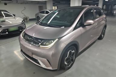 Used BYD Dolphin 2021 405 km Fashion Edition