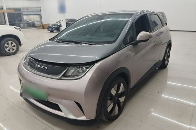 Used BYD Dolphin 2021 401km Knight Edition