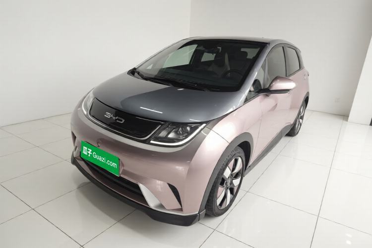 BYD Dolphin 2021 401km Knight Edition de segunda mano Guazi used car, China used car export, Used car for sale, Used  cars, Cheapest cars for sale