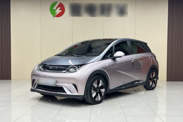 Used BYD Dolphin 2021 401km Knight Edition