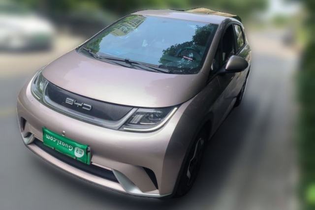 Used BYD Dolphin 2021 405 km Free Version