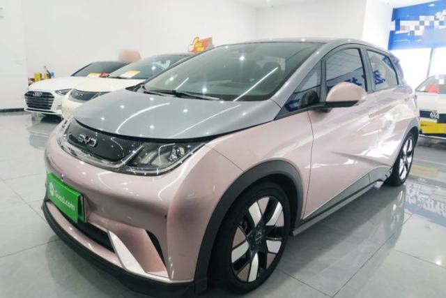 Used BYD Dolphin 2021 401km Knight Edition