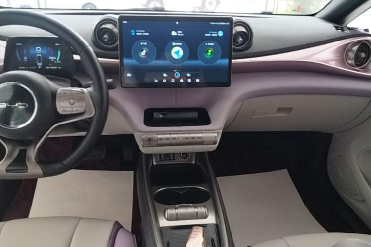 Used BYD Dolphin 2021 405 km Fashion Edition Audio And AC Panel