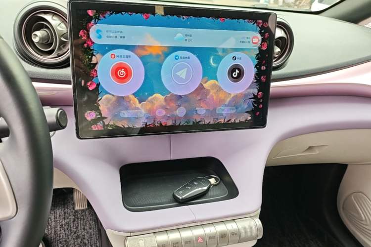 Used BYD Dolphin 2021 405 km Fashion Edition Audio And AC Panel