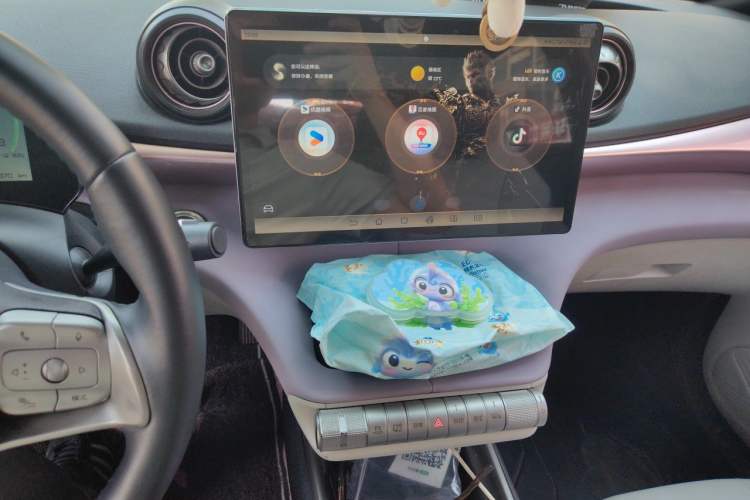Used BYD Dolphin 2021 405 km Fashion Edition Audio And AC Panel