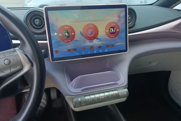 Used BYD Dolphin 2021 405 km Fashion Edition Audio And AC Panel