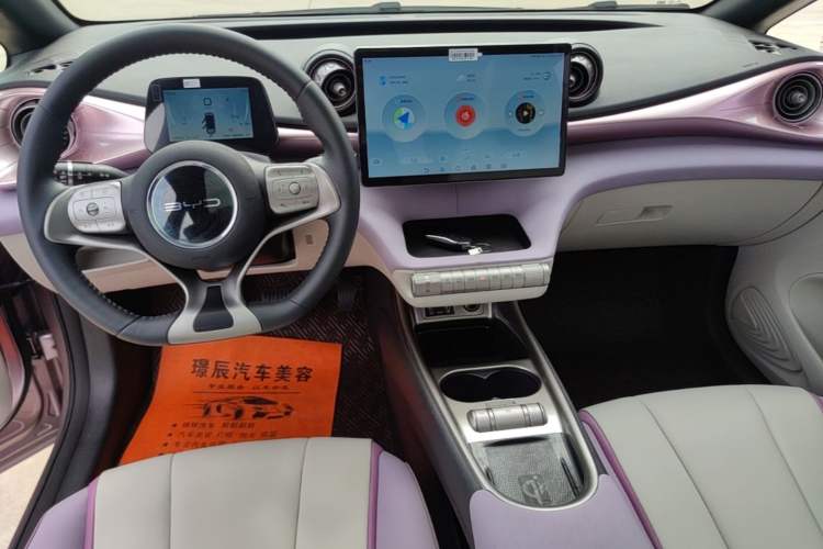 Used BYD Dolphin 2021 405 km Fashion Edition Audio And AC Panel
