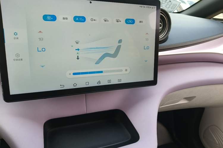 Used BYD Dolphin 2021 405 km Fashion Edition Audio And AC Panel