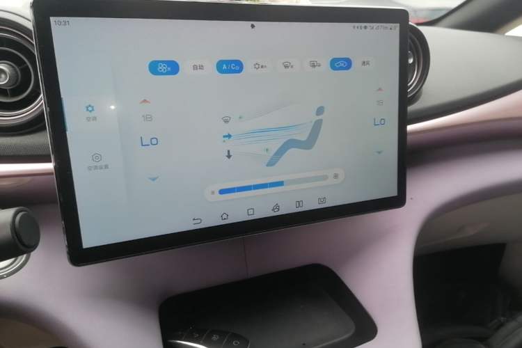 Used BYD Dolphin 2021 405 km Fashion Edition Audio And AC Panel