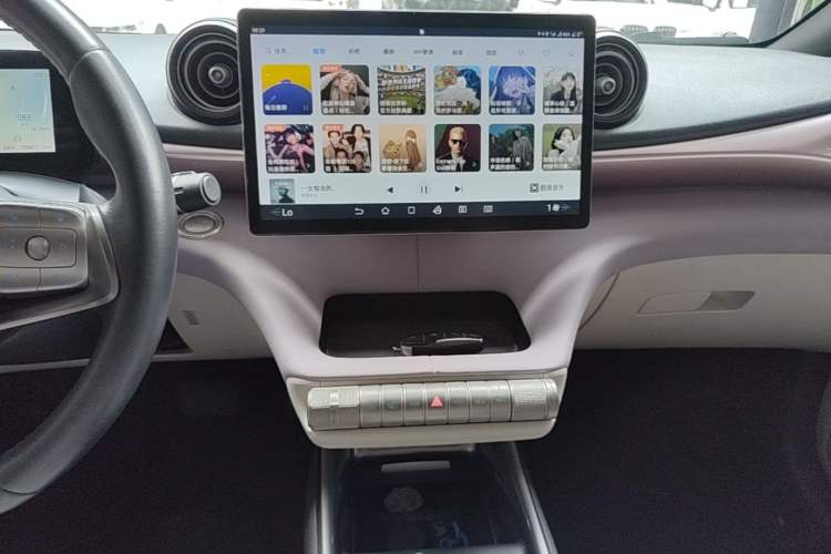 Used BYD Dolphin 2021 405 km Fashion Edition Audio And AC Panel