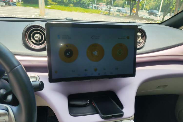 Used BYD Dolphin 2021 405 km Fashion Edition Audio And AC Panel