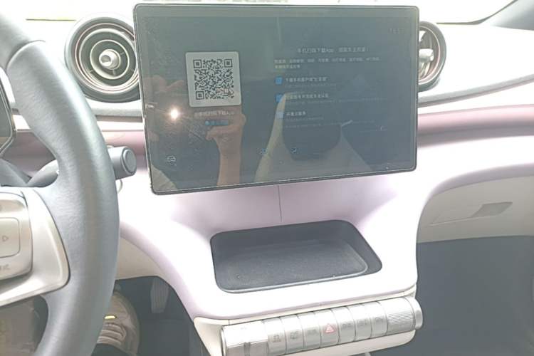 Used BYD Dolphin 2021 405 km Fashion Edition Audio And AC Panel