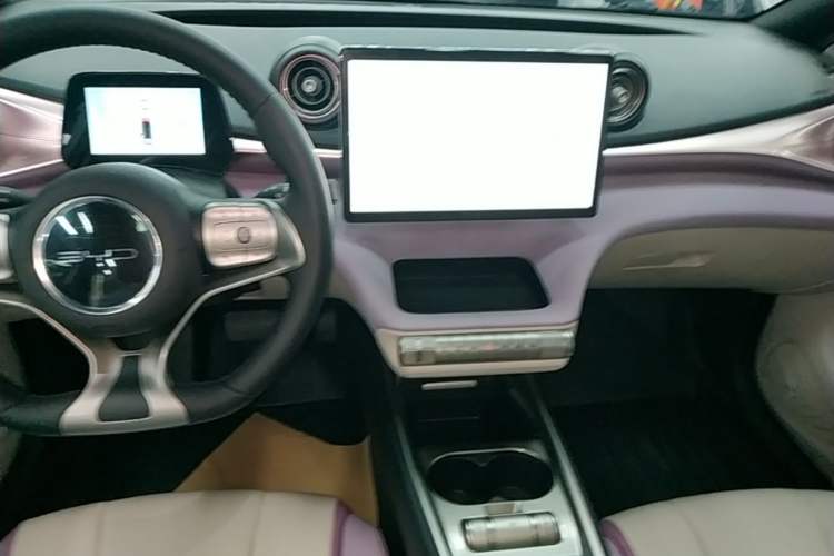 Used BYD Dolphin 2021 405 km Fashion Edition Audio And AC Panel