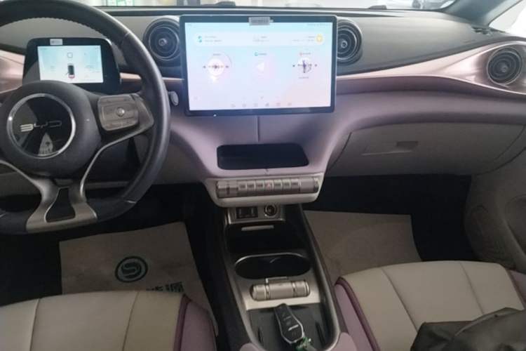 Used BYD Dolphin 2021 405 km Fashion Edition Audio And AC Panel