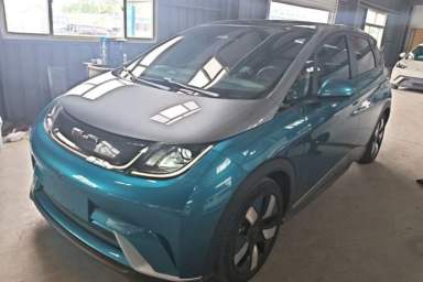 Used BYD Dolphin 2021 401km Knight Edition