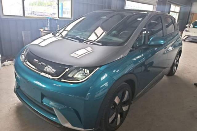 Used BYD Dolphin 2021 401km Knight Edition