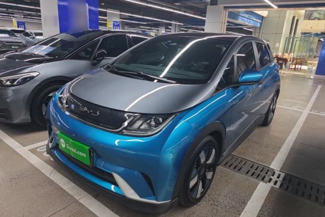 Used BYD Dolphin 2021 401km Knight Edition