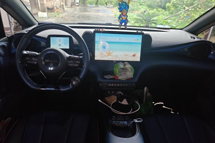 Used BYD Dolphin 2021 401km Knight Edition Center Console
