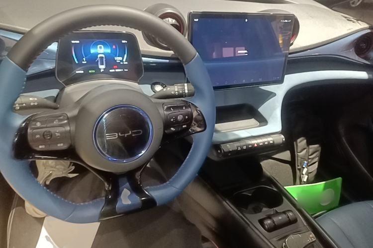Used BYD Dolphin 2021 405 km Fashion Edition Center Console
